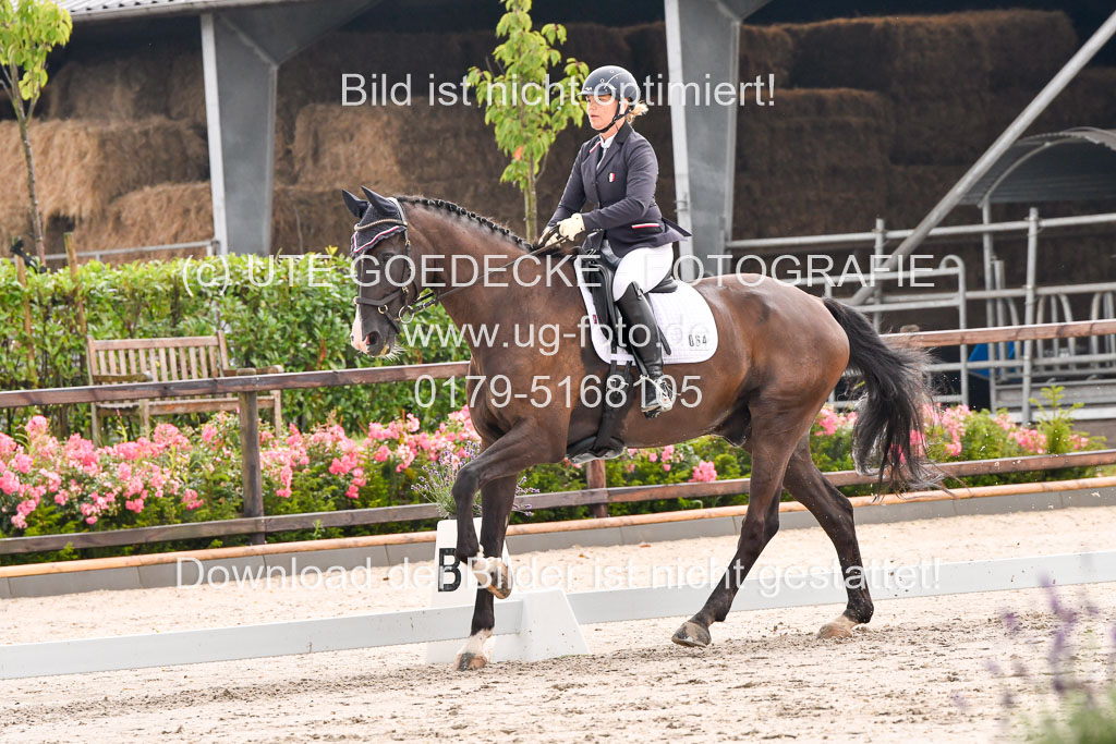 Klein Offenseth Dresur 1.8.2021 | 01082021 Dressur A2_31