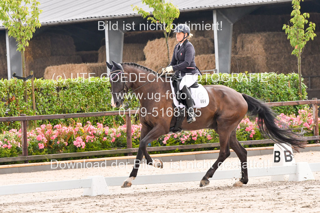 Klein Offenseth Dresur  1.8.2021 | 01082021 Dressur A2_32 