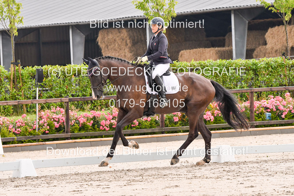 Klein Offenseth Dresur 1.8.2021 | 01082021 Dressur A2_33