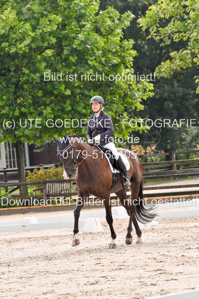 Klein Offenseth Dresur 1.8.2021 | 01082021 Dressur A2_34
