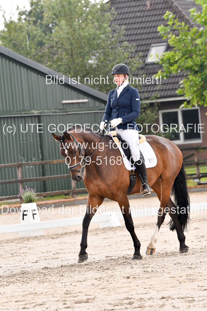 Klein Offenseth Dresur 1.8.2021 | 01082021 Dressur A2_37
