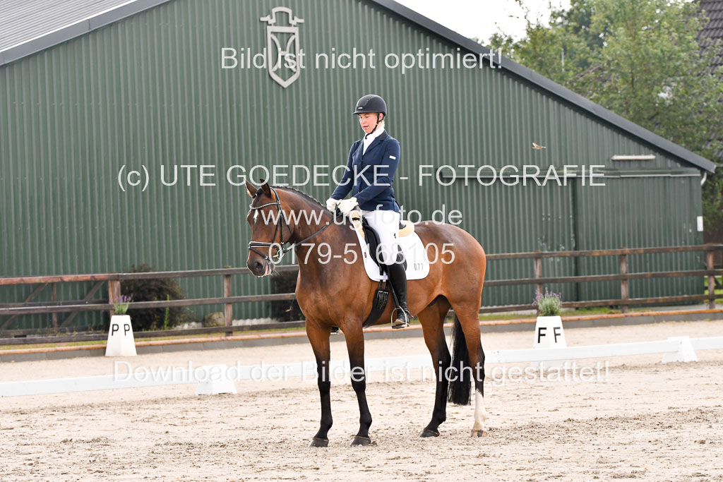 Klein Offenseth Dresur 1.8.2021 | 01082021 Dressur A2_38