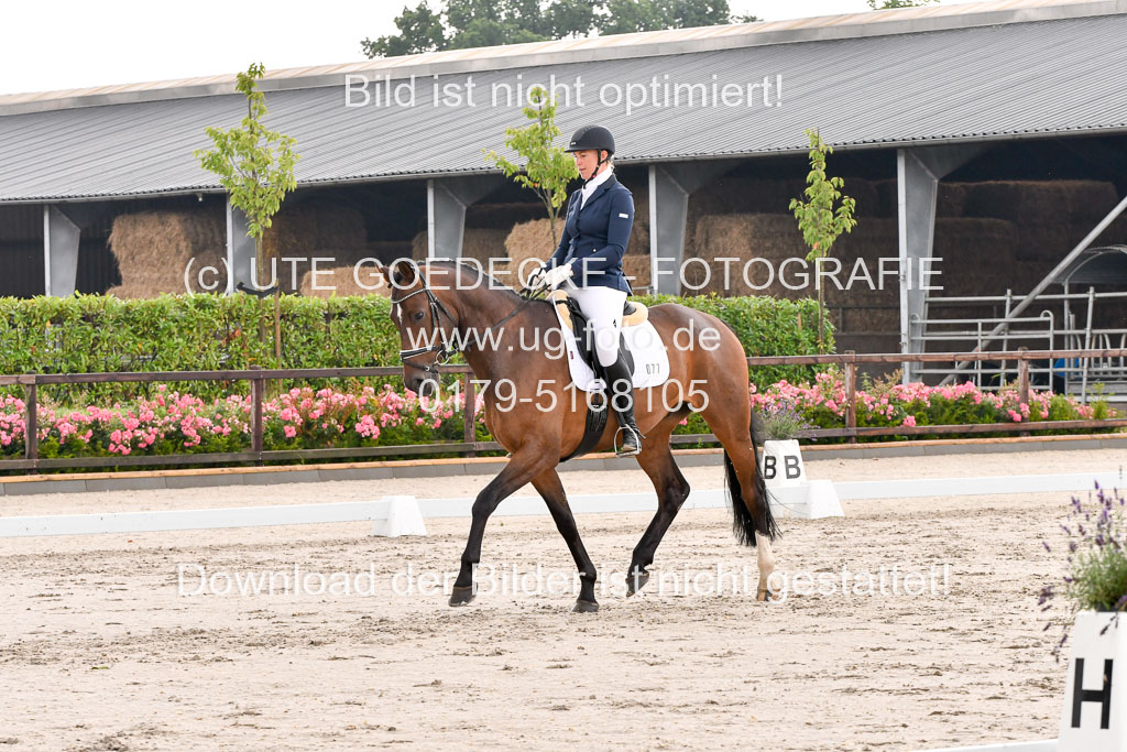 Klein Offenseth Dresur 1.8.2021 | 01082021 Dressur A2_40
