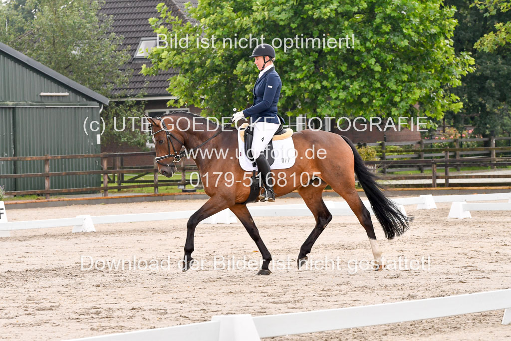 Klein Offenseth Dresur 1.8.2021 | 01082021 Dressur A2_41