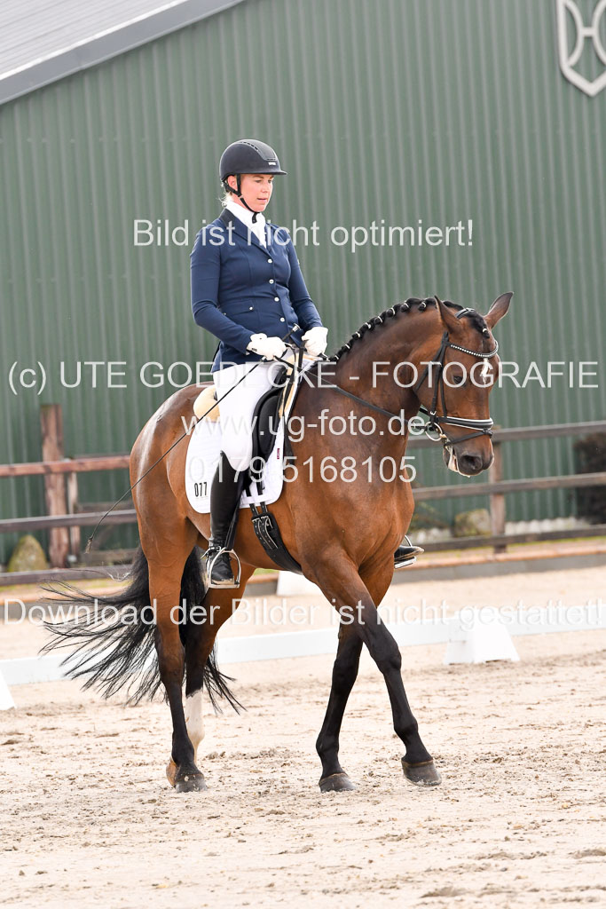 Klein Offenseth Dresur 1.8.2021 | 01082021 Dressur A2_44