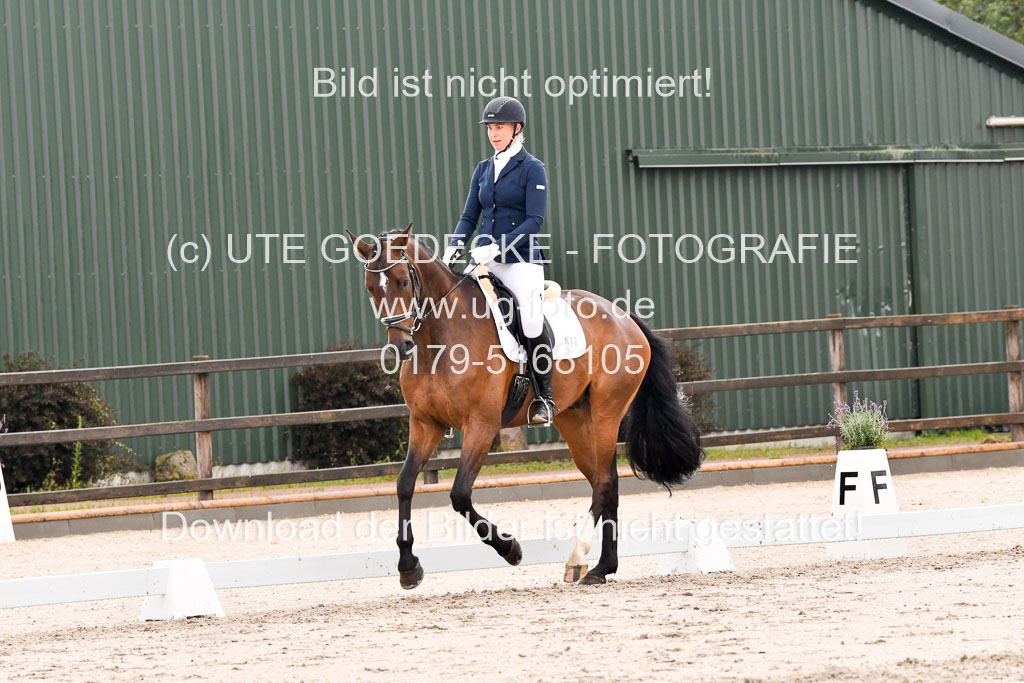 Klein Offenseth Dresur 1.8.2021 | 01082021 Dressur A2_46
