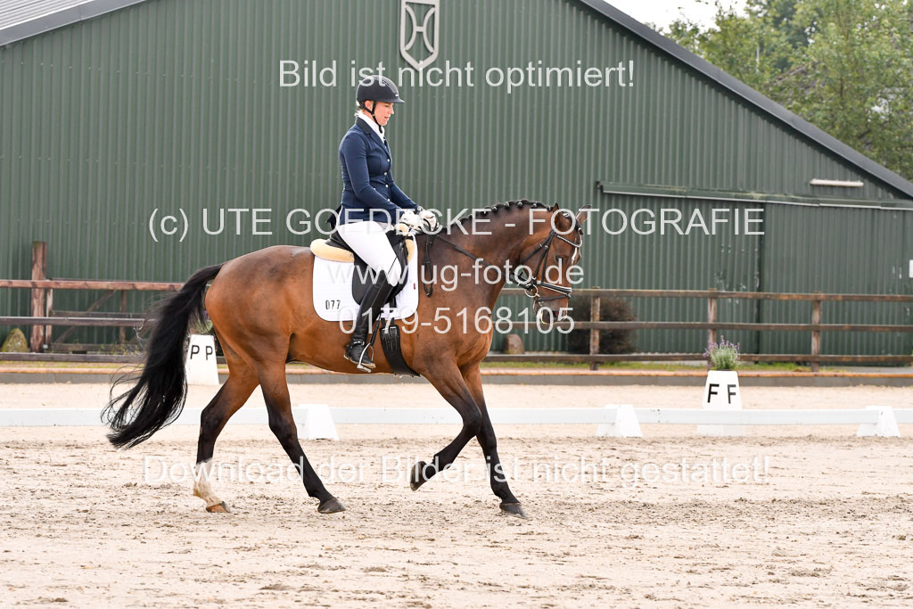 Klein Offenseth Dresur 1.8.2021 | 01082021 Dressur A2_48