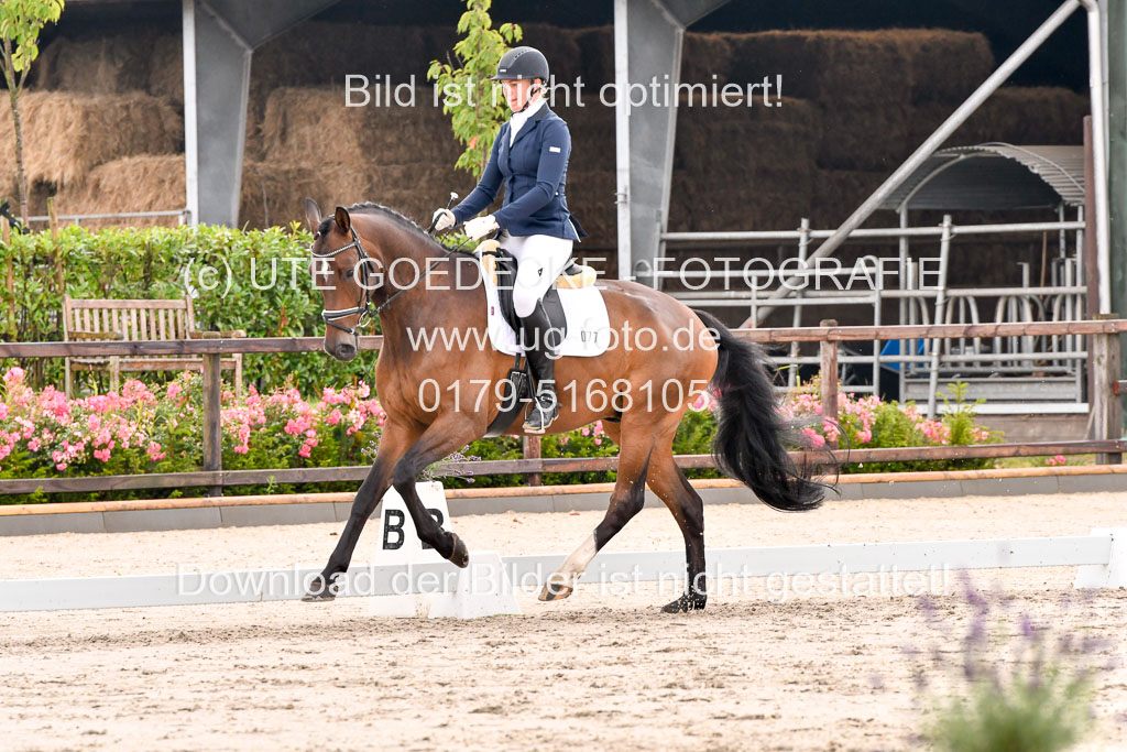Klein Offenseth Dresur 1.8.2021 | 01082021 Dressur A2_53