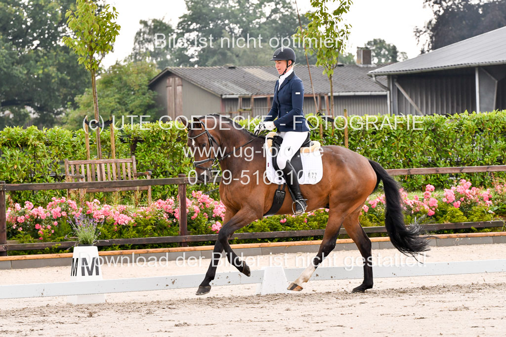 Klein Offenseth Dresur  1.8.2021 | 01082021 Dressur A2_56 