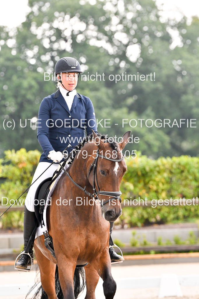 Klein Offenseth Dresur 1.8.2021 | 01082021 Dressur A2_57