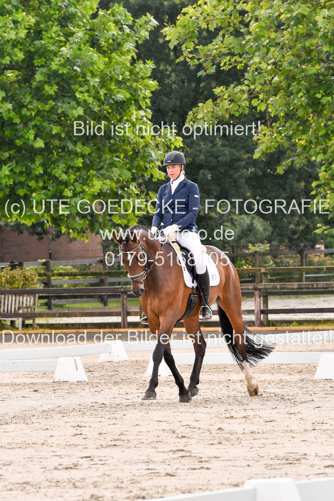 Klein Offenseth Dresur 1.8.2021 | 01082021 Dressur A2_60