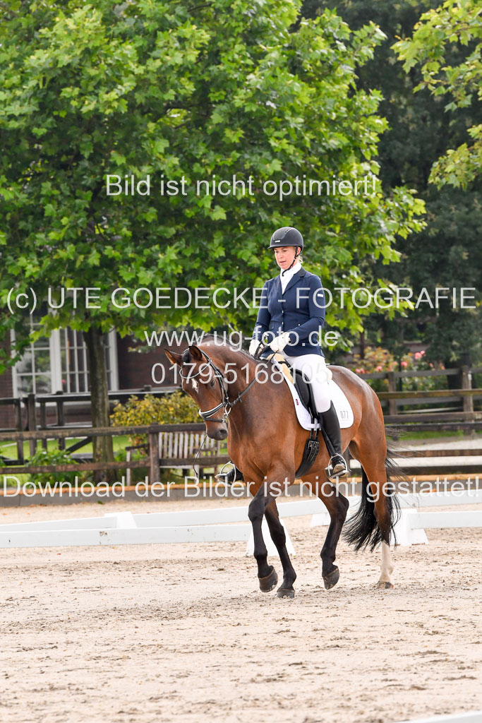 Klein Offenseth Dresur  1.8.2021 | 01082021 Dressur A2_61 