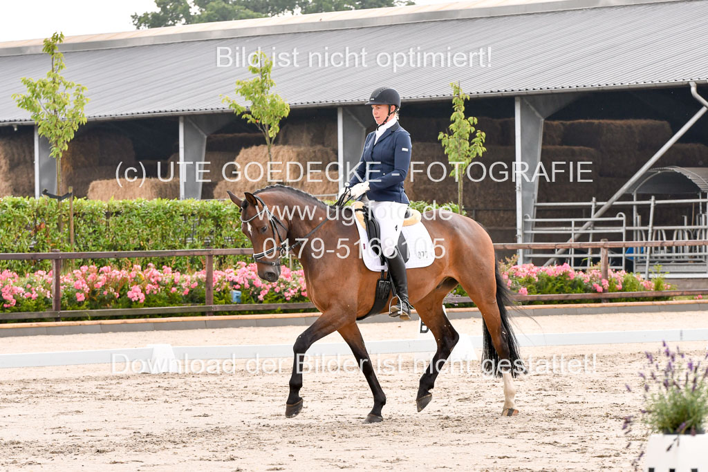 Klein Offenseth Dresur  1.8.2021 | 01082021 Dressur A2_62 