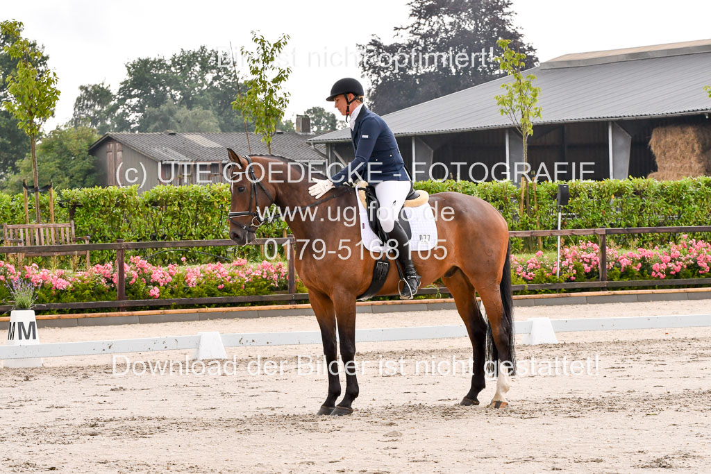 Klein Offenseth Dresur  1.8.2021 | 01082021 Dressur A2_63 