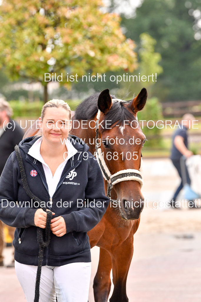 Klein Offenseth Dresur  1.8.2021 | 01082021 Dressur A2_66 