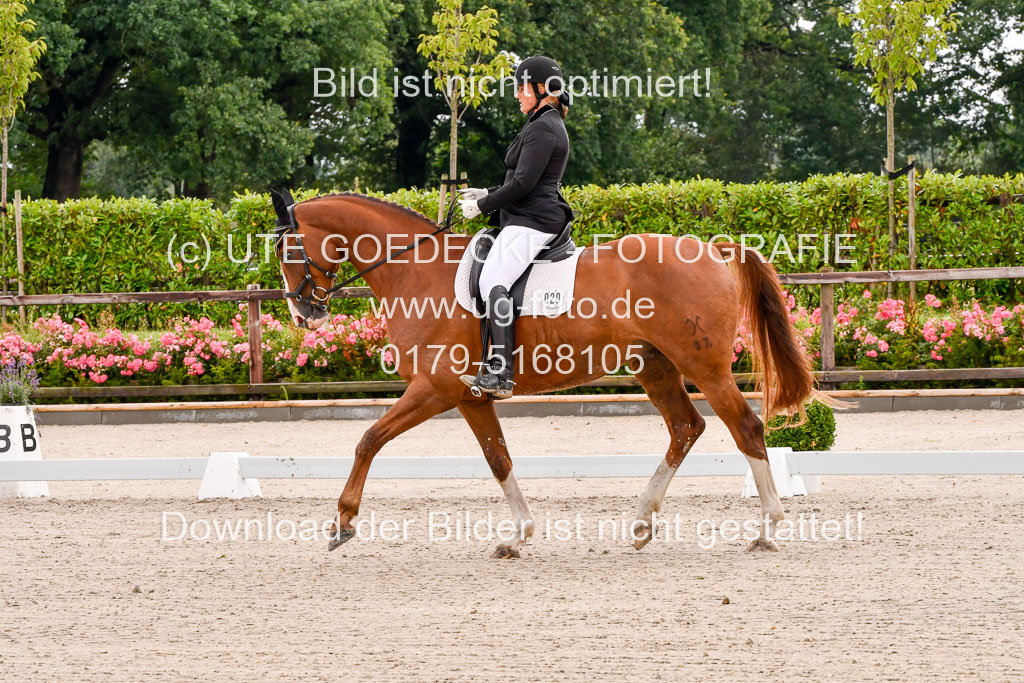 Klein Offenseth Dresur 1.8.2021 | 01082021 Dressur A2_67