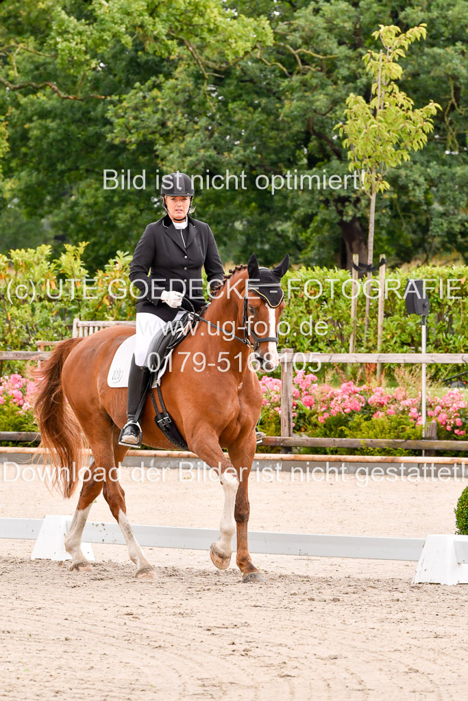 Klein Offenseth Dresur  1.8.2021 | 01082021 Dressur A2_68 