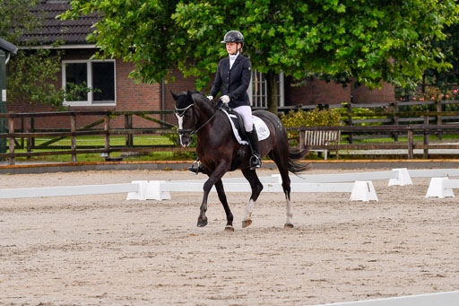 Klein Offenseth Dresur  1.8.2021 | 01082021 Dressur A2_01 