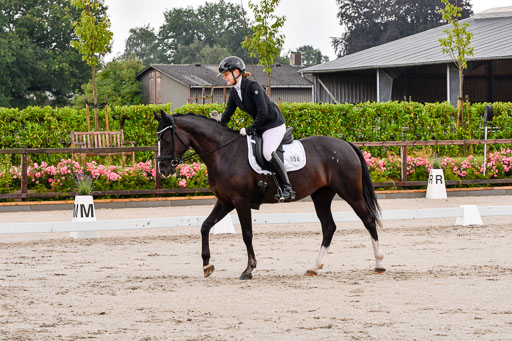 Klein Offenseth Dresur  1.8.2021 | 01082021 Dressur A2_04 