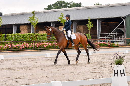 Klein Offenseth Dresur  1.8.2021 | 01082021 Dressur A2_06 