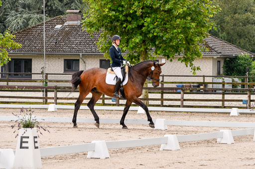 Klein Offenseth Dresur  1.8.2021 | 01082021 Dressur A2_07 