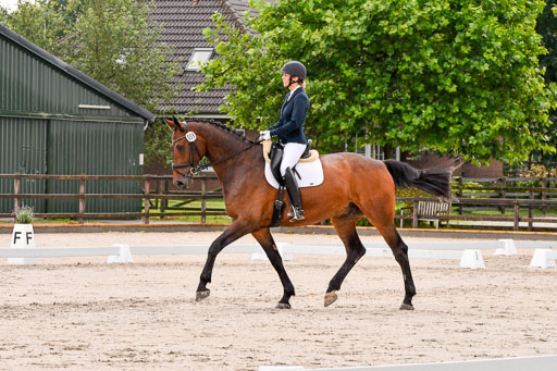 Klein Offenseth Dresur  1.8.2021 | 01082021 Dressur A2_08 