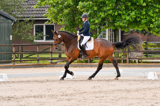 Klein Offenseth Dresur  1.8.2021 | 01082021 Dressur A2_11 