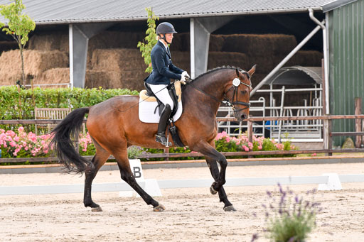 Klein Offenseth Dresur  1.8.2021 | 01082021 Dressur A2_14 