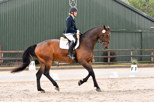 Klein Offenseth Dresur  1.8.2021 | 01082021 Dressur A2_15 