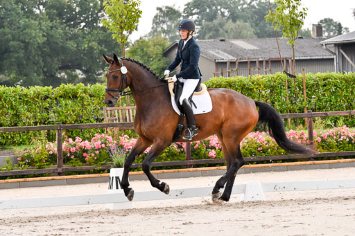 Klein Offenseth Dresur  1.8.2021 | 01082021 Dressur A2_18 