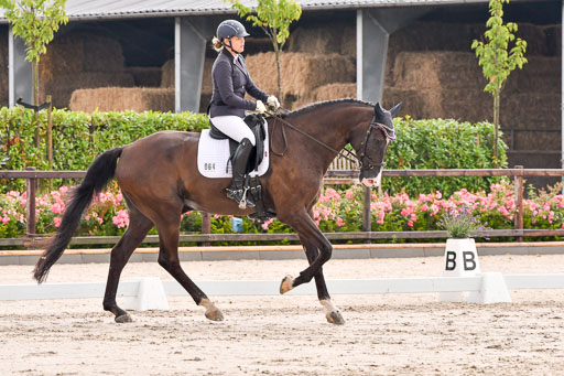 Klein Offenseth Dresur  1.8.2021 | 01082021 Dressur A2_25 