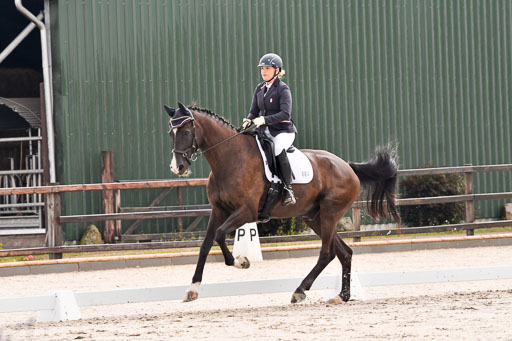 Klein Offenseth Dresur  1.8.2021 | 01082021 Dressur A2_30 