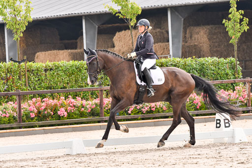 Klein Offenseth Dresur  1.8.2021 | 01082021 Dressur A2_32 