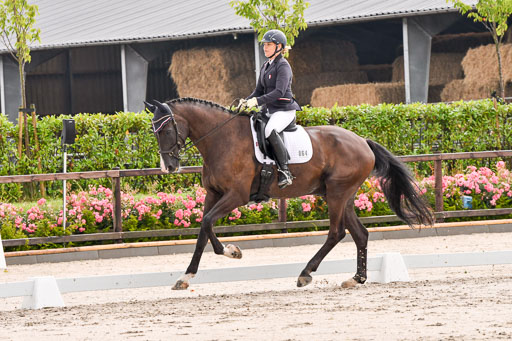 Klein Offenseth Dresur  1.8.2021 | 01082021 Dressur A2_33 