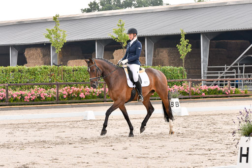 Klein Offenseth Dresur  1.8.2021 | 01082021 Dressur A2_40 