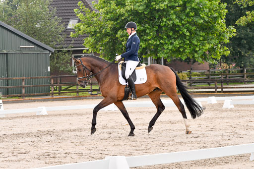 Klein Offenseth Dresur  1.8.2021 | 01082021 Dressur A2_41 