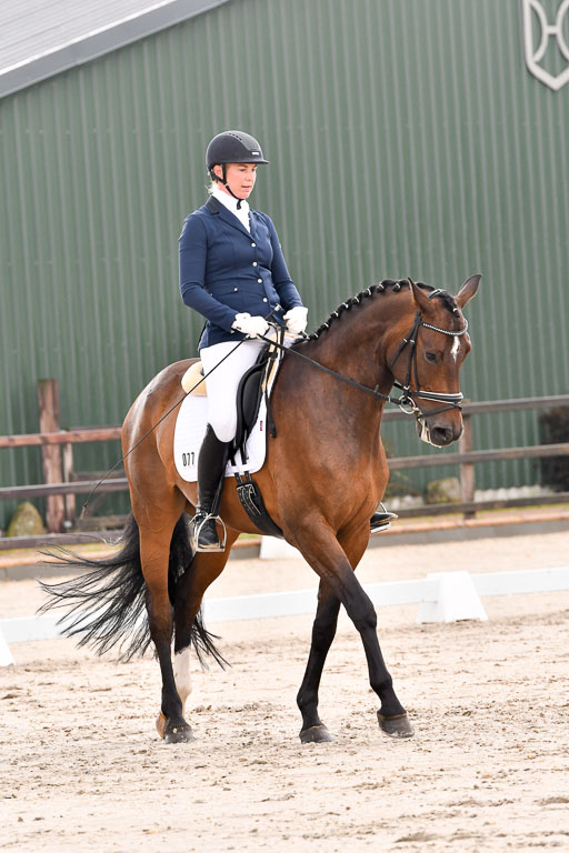 Klein Offenseth Dresur  1.8.2021 | 01082021 Dressur A2_44 