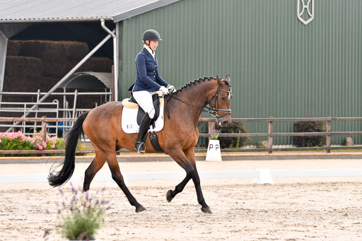 Klein Offenseth Dresur  1.8.2021 | 01082021 Dressur A2_47 