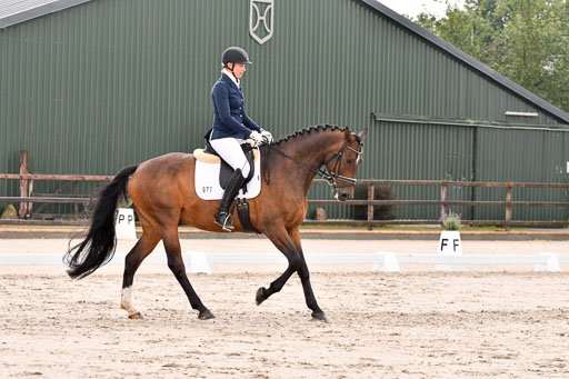 Klein Offenseth Dresur  1.8.2021 | 01082021 Dressur A2_48 