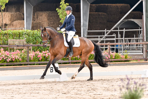 Klein Offenseth Dresur  1.8.2021 | 01082021 Dressur A2_53 