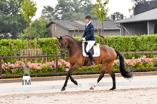 Klein Offenseth Dresur  1.8.2021 | 01082021 Dressur A2_56 