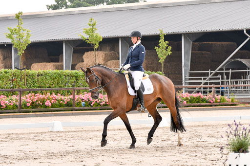 Klein Offenseth Dresur  1.8.2021 | 01082021 Dressur A2_62 