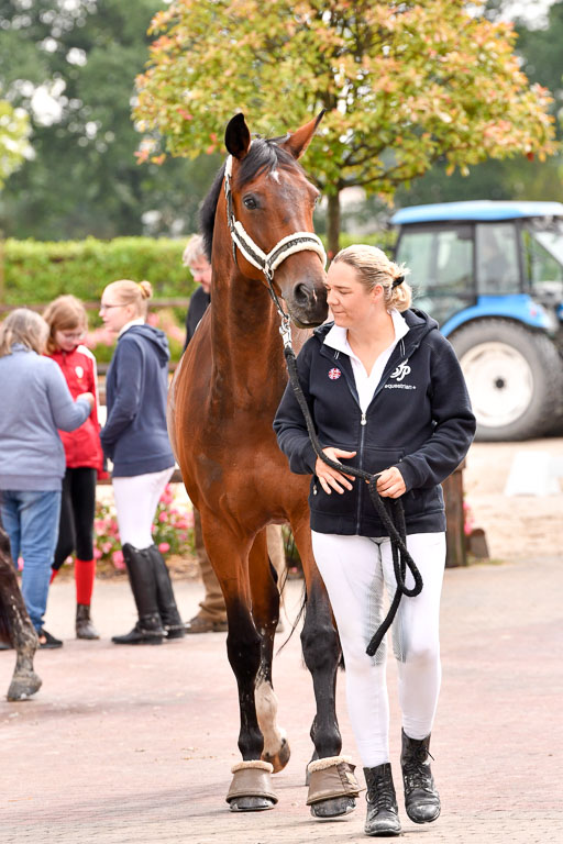 Klein Offenseth Dresur  1.8.2021 | 01082021 Dressur A2_64 