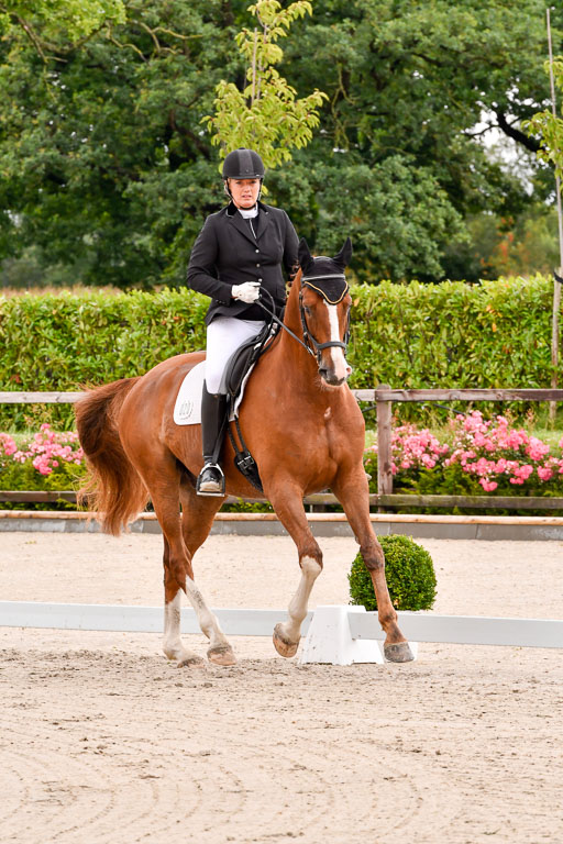 Klein Offenseth Dresur  1.8.2021 | 01082021 Dressur A2_69 