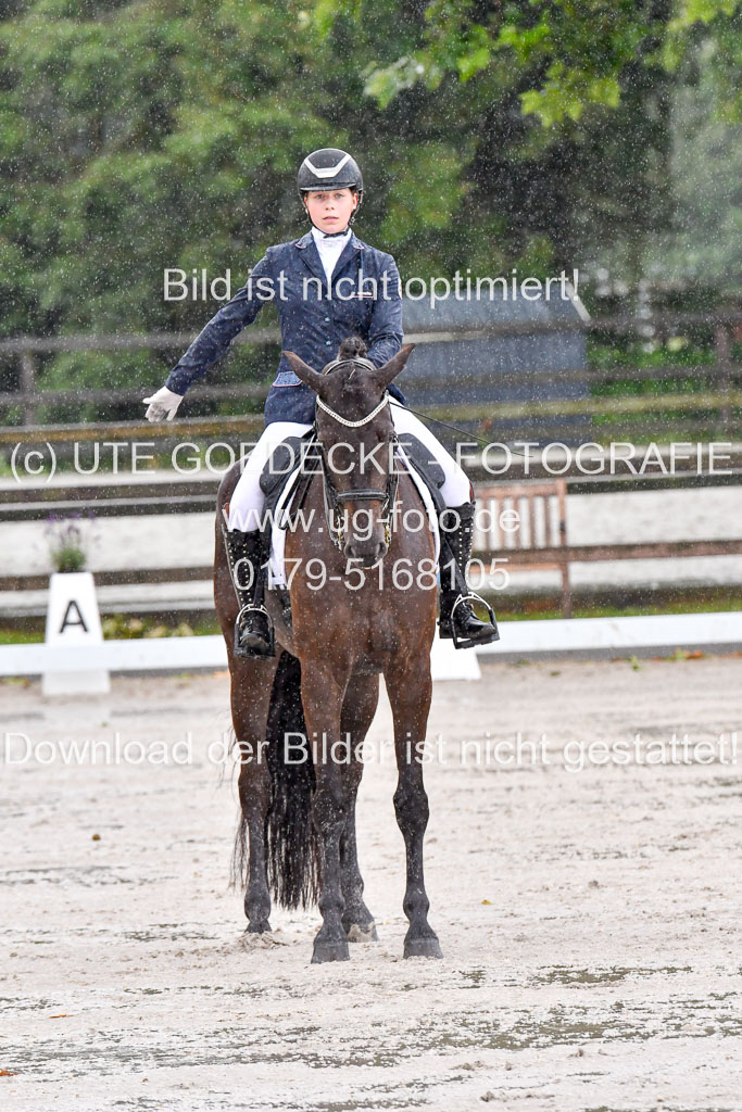Klein Offenseth   Dressur  1.8.2021 | 01082021 Dressur M+ _003 