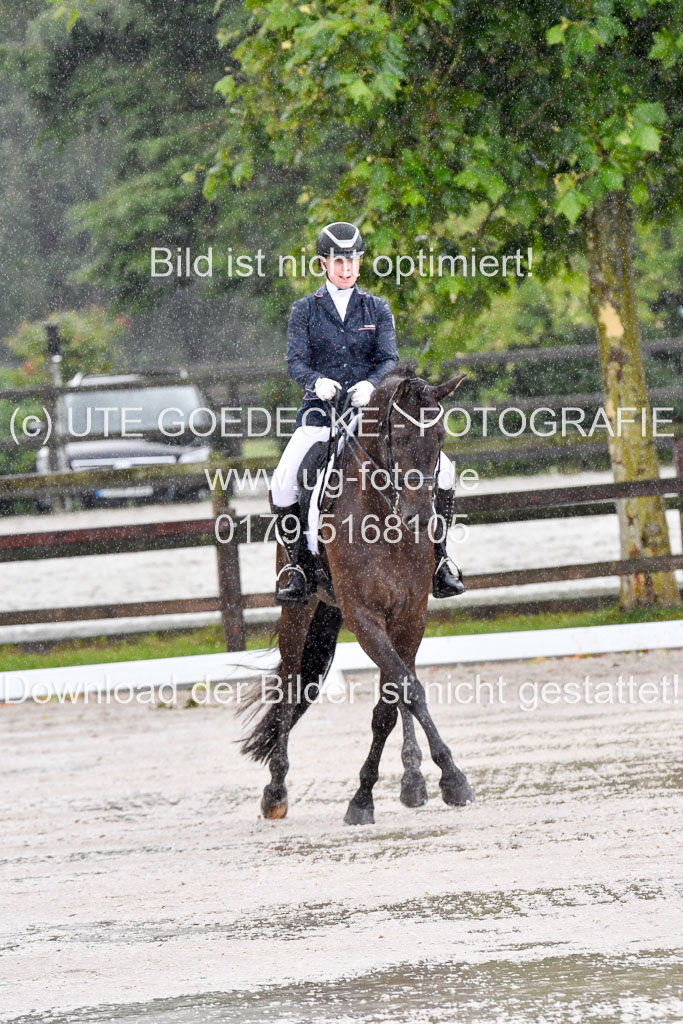 Klein Offenseth   Dressur  1.8.2021 | 01082021 Dressur M+ _006 