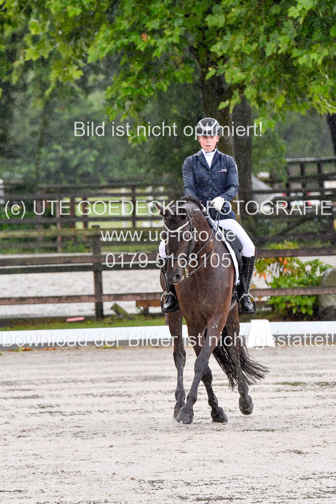 Klein Offenseth   Dressur  1.8.2021 | 01082021 Dressur M+ _008 