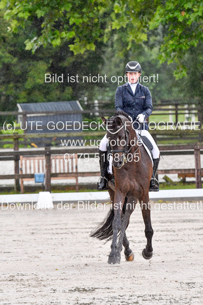 Klein Offenseth   Dressur  1.8.2021 | 01082021 Dressur M+ _009 