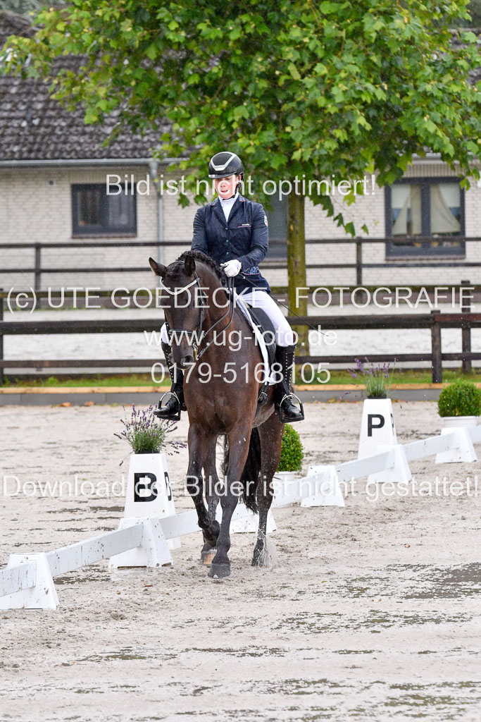 Klein Offenseth   Dressur  1.8.2021 | 01082021 Dressur M+ _010 