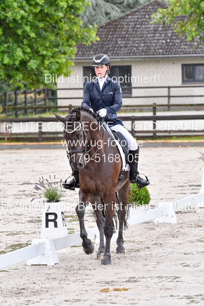 Klein Offenseth   Dressur  1.8.2021 | 01082021 Dressur M+ _011 